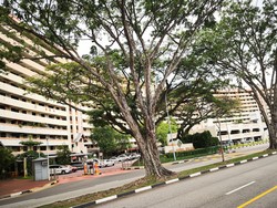 Sin Ming Road (D20), HDB Shop House #203797861